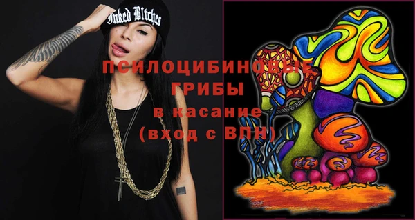 крисы Арсеньев