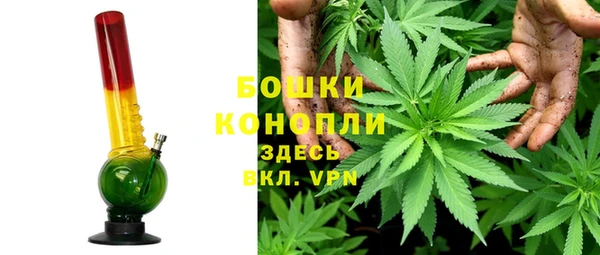 крисы Арсеньев